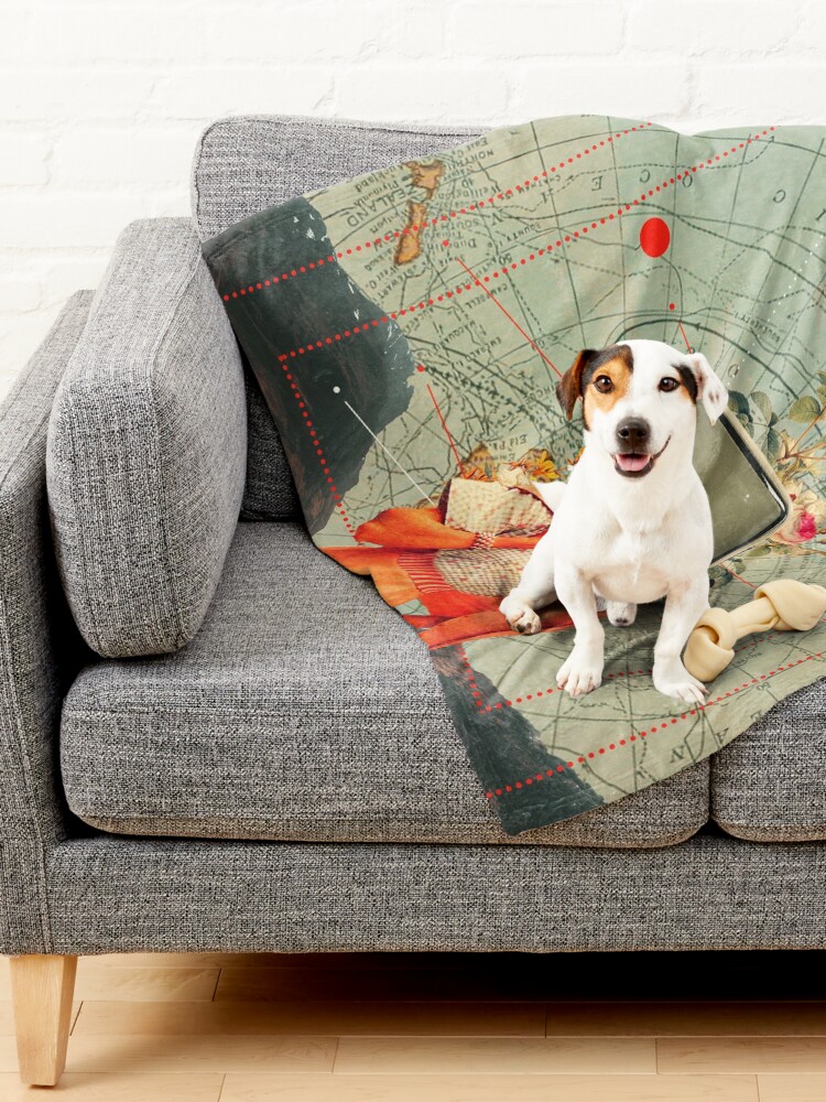 Alternate view of Antarctic Broadcast Pet Blanket