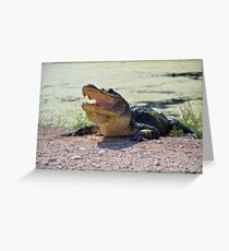 Alligator Greeting Card