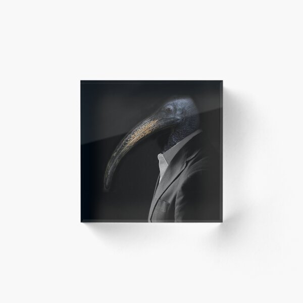 Thoth Captured Acrylic Block