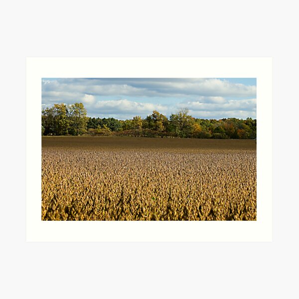 The Corn Field Art Print