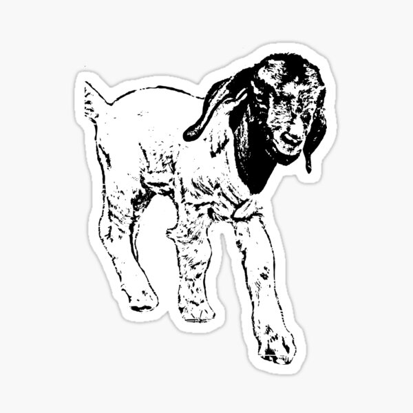 Vista previa del artículo con la obra «Cabra, cabrito, cabra del bebé, animal del bebé, cabra del bóer, cabrito del Boer», diseñado y vendido por thebrokendipper.