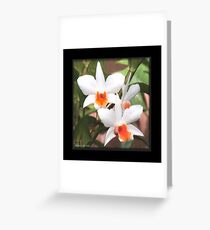 Painted Orchids Greeting Card