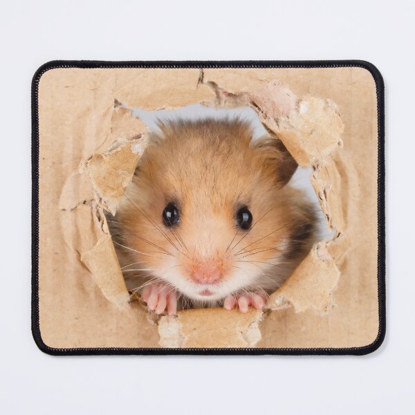 Item preview, Cant Breathe -  Cute Hamster peeping through hole in brown cardboard designed and sold by cgroenewald.