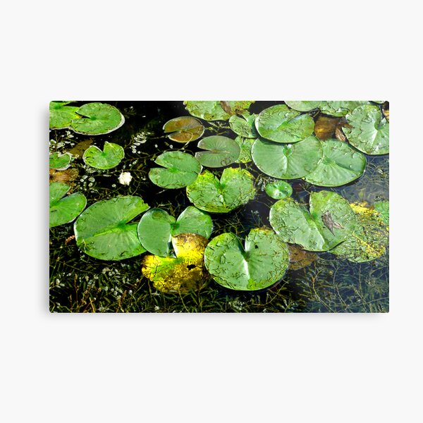 JUMP Metal Print