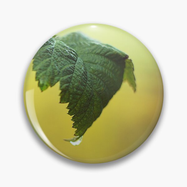 Item preview, Red raspberry leaf on a misty morning designed and sold by riku05830.
