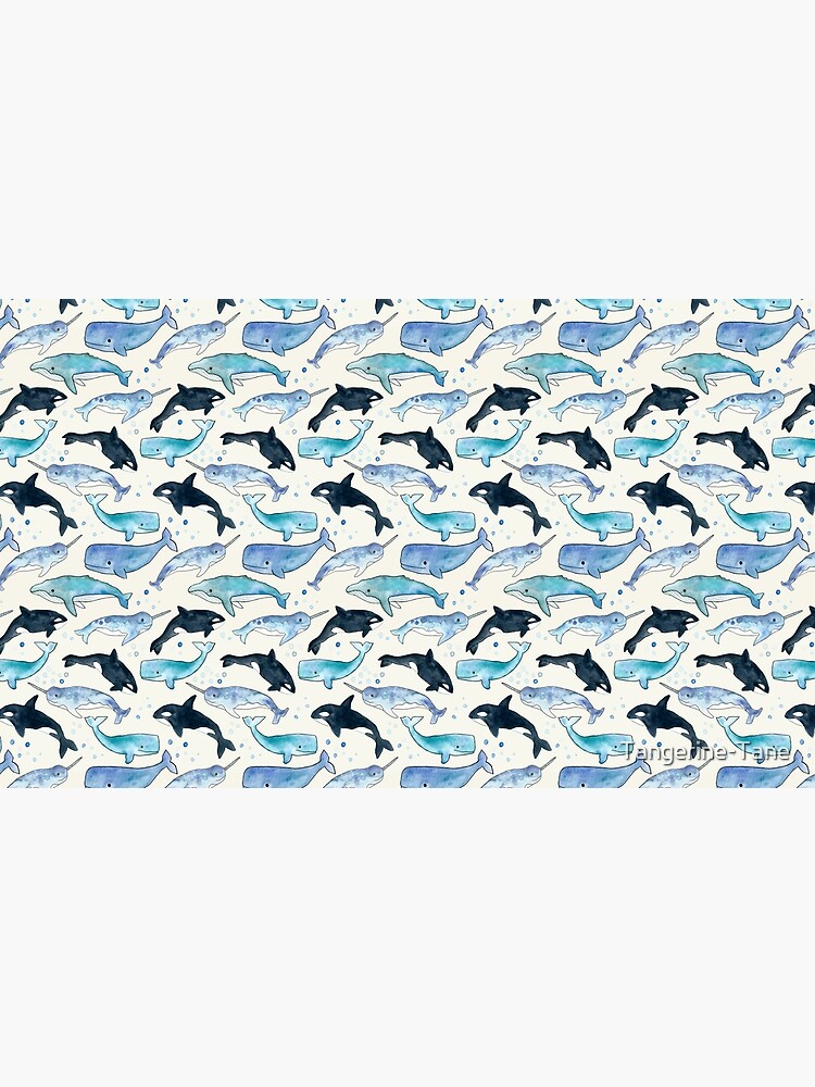 Whales, Orcas & Narwhals by Tangerine-Tane