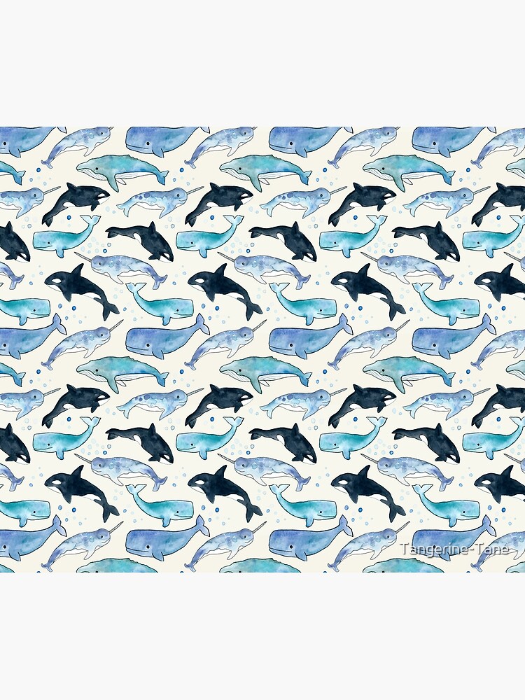 Whales, Orcas & Narwhals by Tangerine-Tane