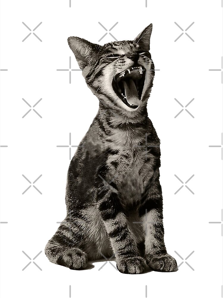 Disover Little Cat Screaming Lonely Premium Matte Vertical Poster