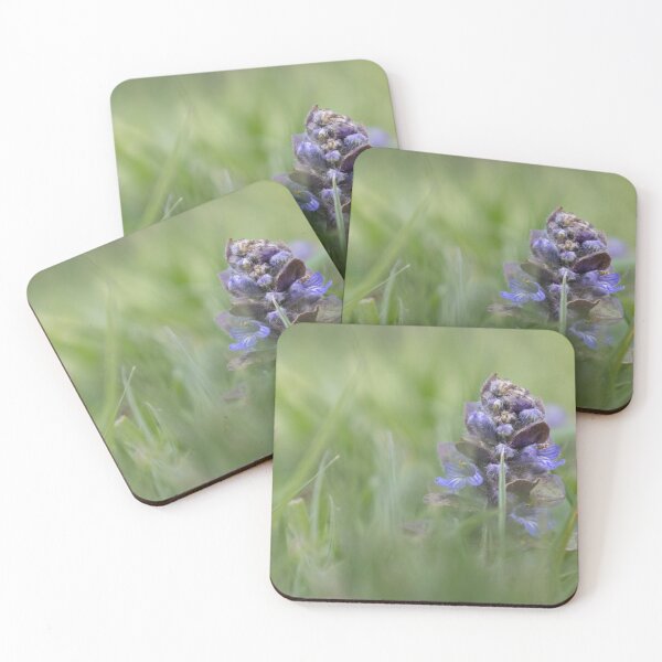 Item preview, Blue Bugle designed and sold by Calidris Fotografie Steffi & Ben Köppler.