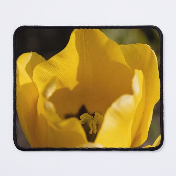 Item preview, Yellow Tulip designed and sold by Calidris Fotografie Steffi & Ben Köppler.