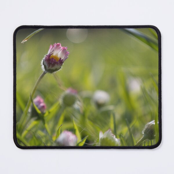Item preview, Daisy waking up designed and sold by Calidris Fotografie Steffi & Ben Köppler.