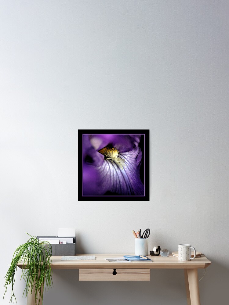 Thumbnail 2 of 3, Poster, Iris Splendor designed and sold by photoforyou.