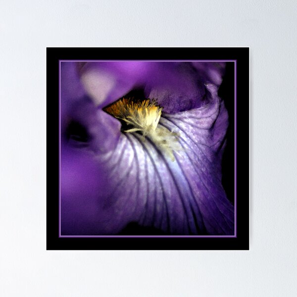 Item preview, Iris Splendor designed and sold by Ryan Houston.