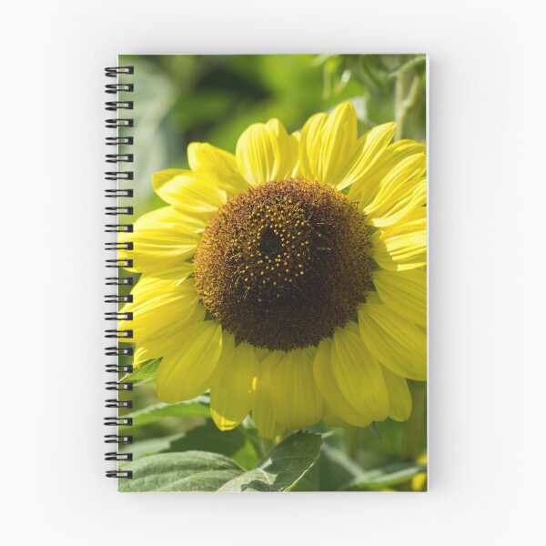 Item preview, Sunshiny Sunflower - the Beautiful National Flower of Ukraine designed and sold by Georgia Mizuleva.