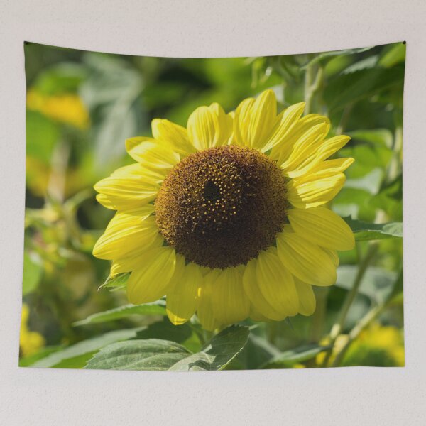 Item preview, Sunshiny Sunflower - the Beautiful National Flower of Ukraine designed and sold by Georgia Mizuleva.