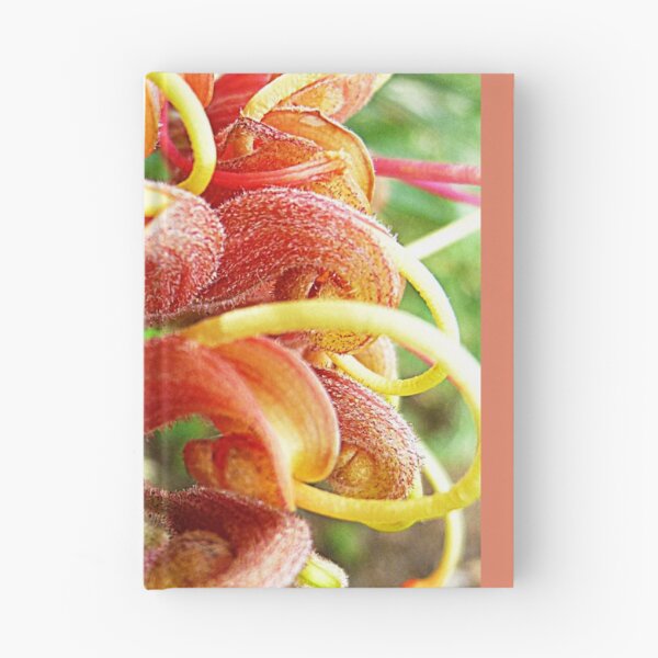 Item preview, Grevillea Flower - Garden Spring 2016, Vic. Australia designed and sold by EdsMum.
