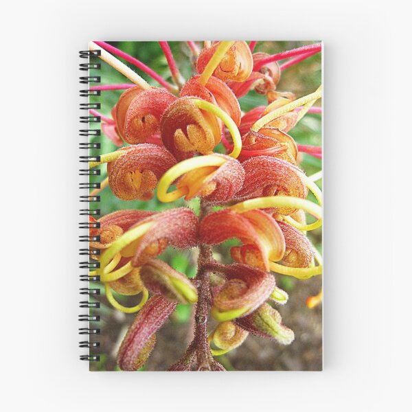 Item preview, Grevillea Flower - Garden Spring 2016, Vic. Australia designed and sold by EdsMum.