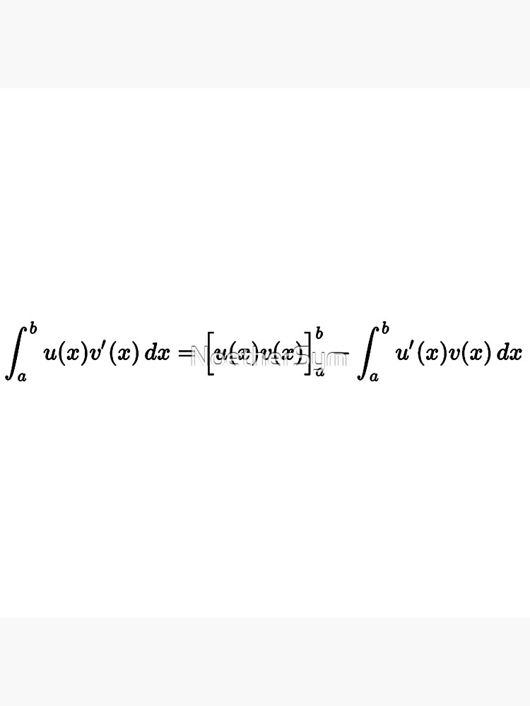Integration By Parts Formula Premium Matte Vertical Poster Sold By 