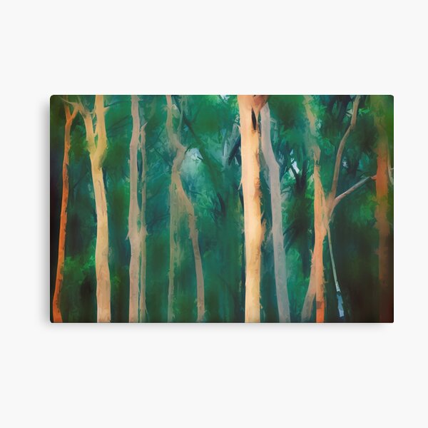 Misty Eucalypt Forest Lienzo