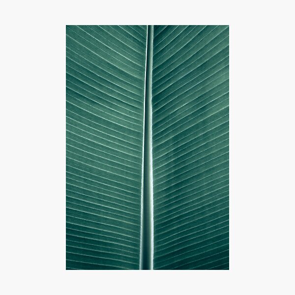 Primal Colors I Photographic Print