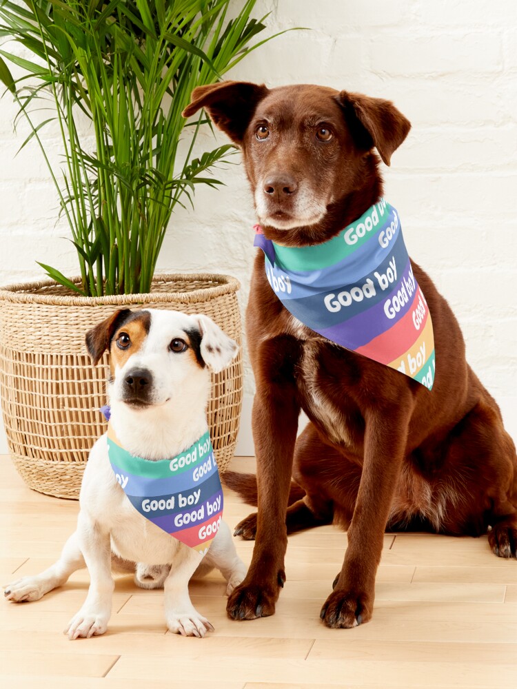 Alternate view of Good boy rainbow pattern Pet Bandana