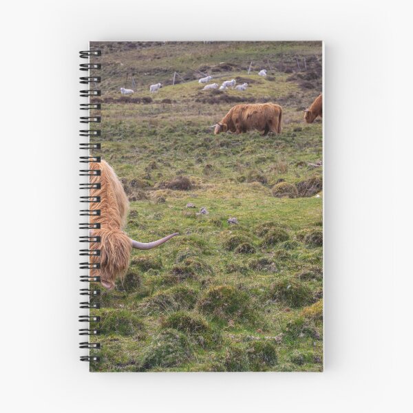 Artikelvorschau, Highland Kühe und Schafe entworfen und verkauft von Leighton Collins.