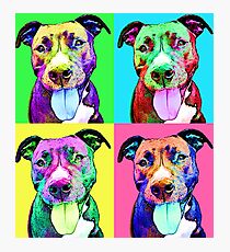 Pit Bull Pop Art Photographic Print
