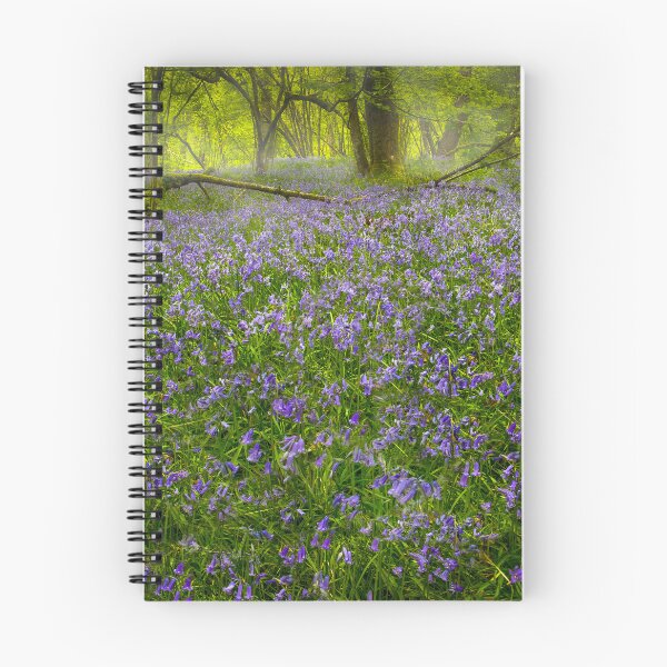 Item preview, Bluebells in Pontneddfechan  designed and sold by Leighton Collins.