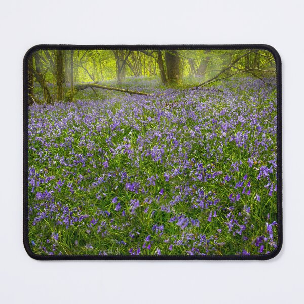 Item preview, Bluebells in Pontneddfechan designed and sold by Leighton Collins.