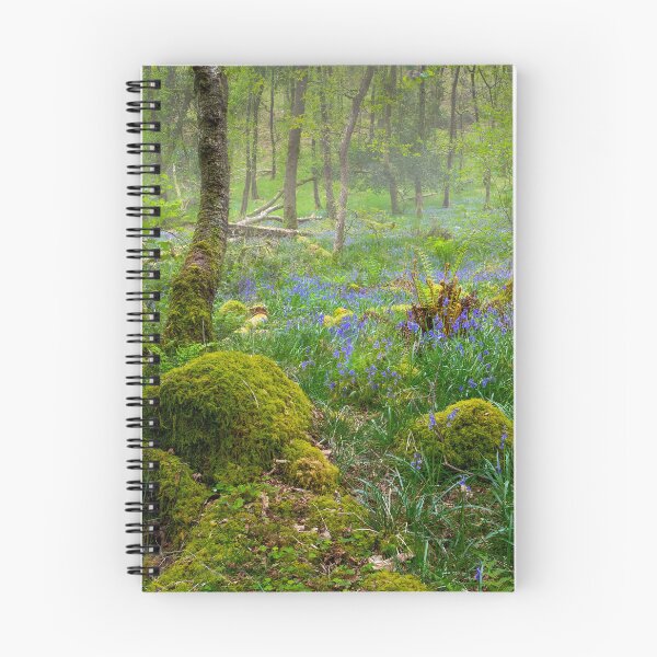Item preview, Bluebells in an Ancient forest designed and sold by Leighton Collins.