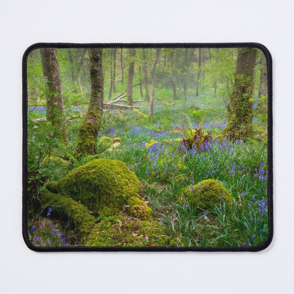 Item preview, Bluebells in an Ancient forest designed and sold by Leighton Collins.