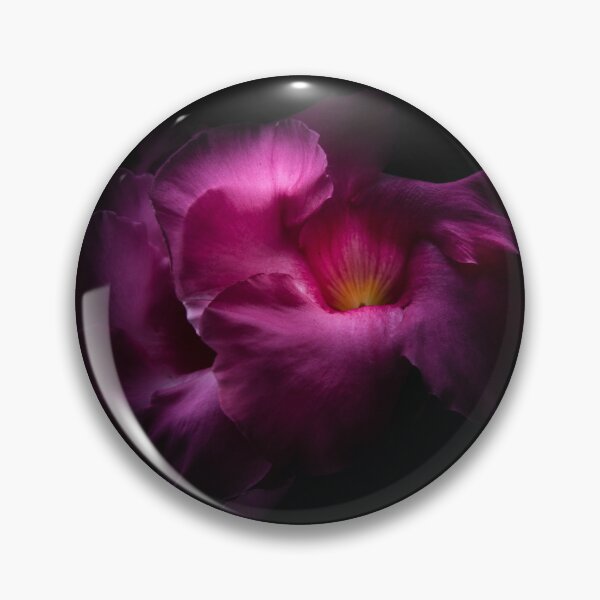 Item preview, Backyard Flowers No 2 Color Version designed and sold by The Learning Curve Photography.