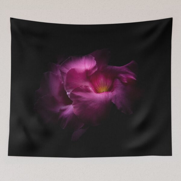 Item preview, Backyard Flowers No 2 Color Version designed and sold by The Learning Curve Photography.