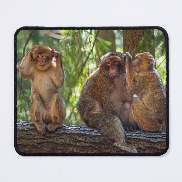 Item preview, Grooming Monkeys designed and sold by Tim Paulawitz.