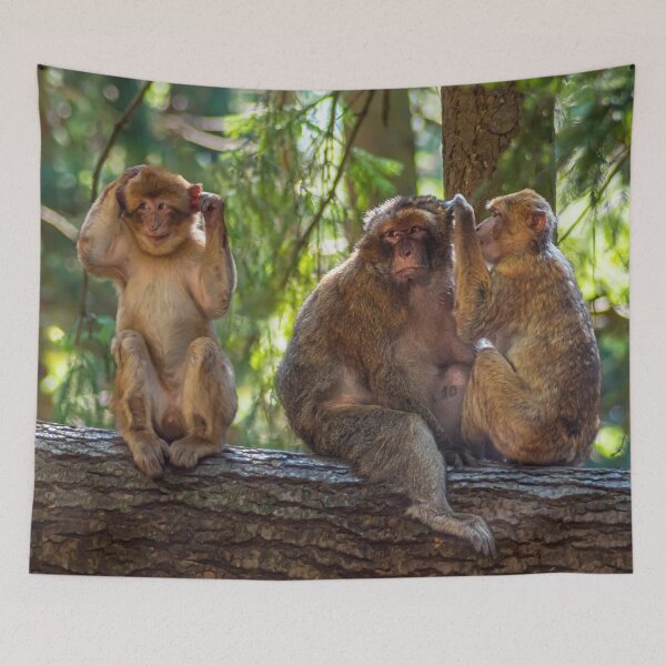 Item preview, Grooming Monkeys designed and sold by Tim Paulawitz.
