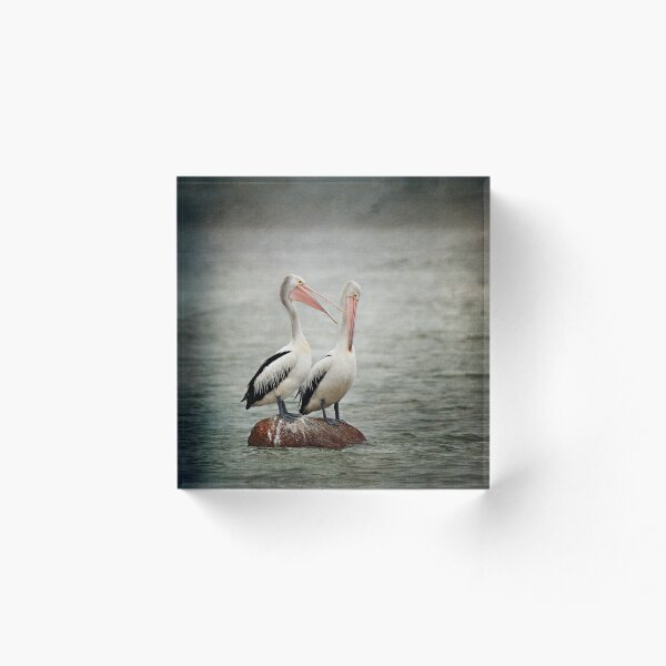 Item preview, Pelican catch up designed and sold by Malcolm Heberle.