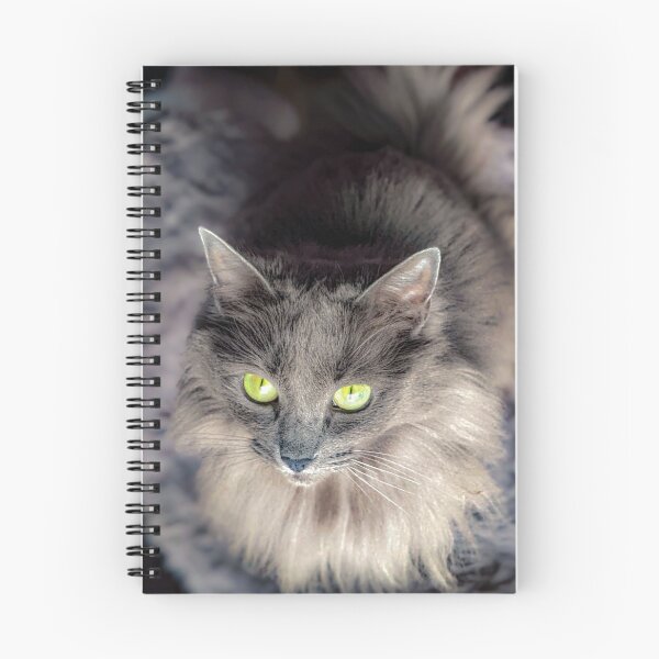 Item preview, Stunning gray green eyed cat designed and sold by PandLcreations.
