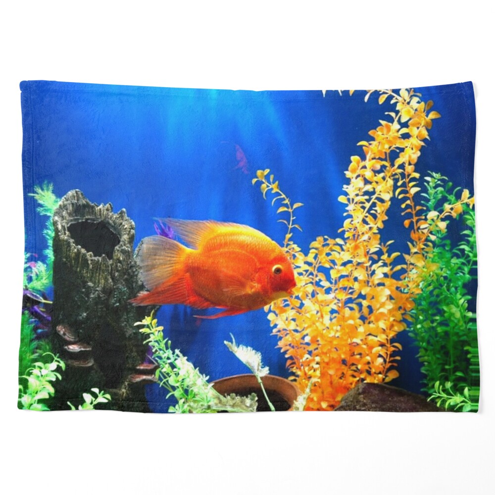 Another fresh water aquarium by Aquaholics  Aquarium, Fish tank themes,  Tropical fish aquarium