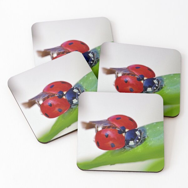 Item preview, THE STAR : 2 (h) coccinelle-ladybug by Olao-Olavia / Okaio Créations 2015  by fz 1000 and 450.000 photos designed and sold by o.okaïo.