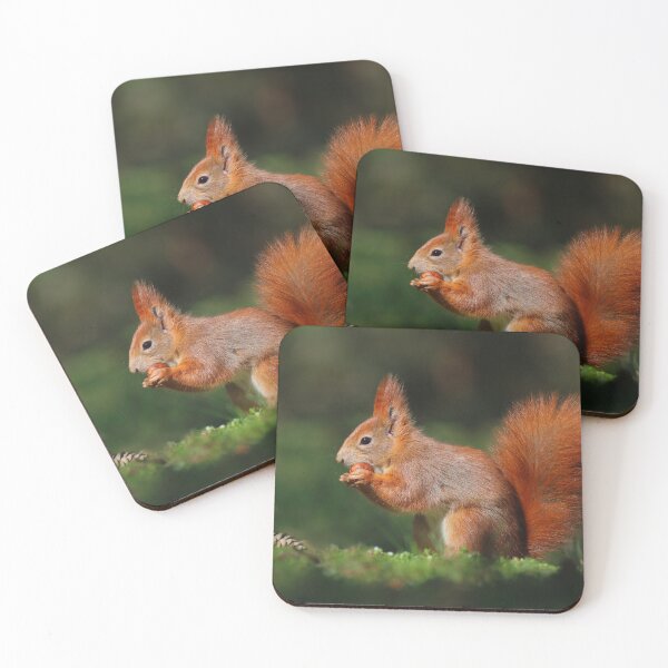 Item preview, ' Red Squirrel, eating his nuts ' designed and sold by MARYMAXMAC.