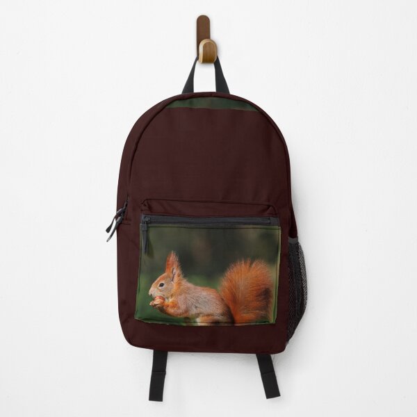 Item preview, ' Red Squirrel, eating his nuts ' designed and sold by MARYMAXMAC.