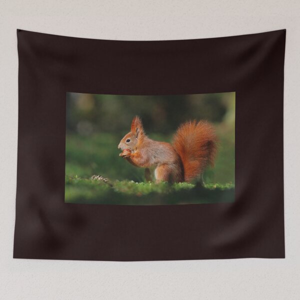 Item preview, ' Red Squirrel, eating his nuts ' designed and sold by MARYMAXMAC.