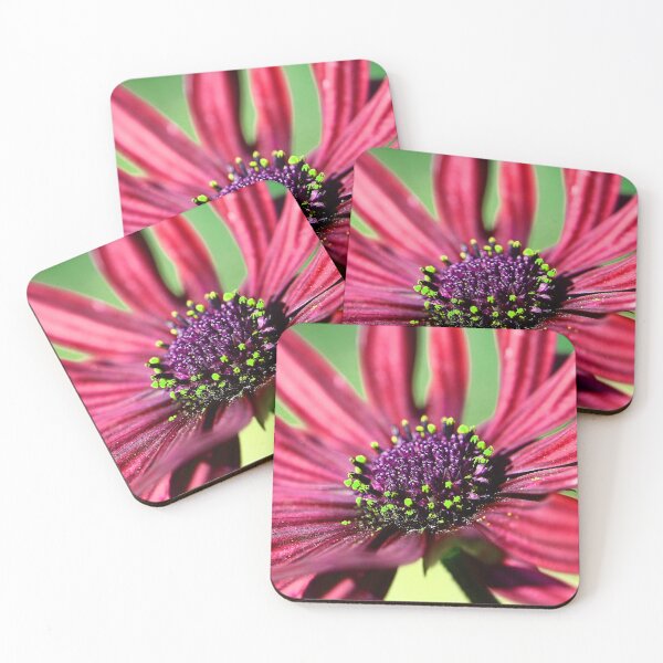 Item preview, Flowers (MKW-F.40) designed and sold by Katrina Morgan.
