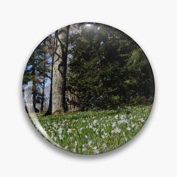 Item preview, Under the naked oaks designed and sold by Jouko Lehto Photography.