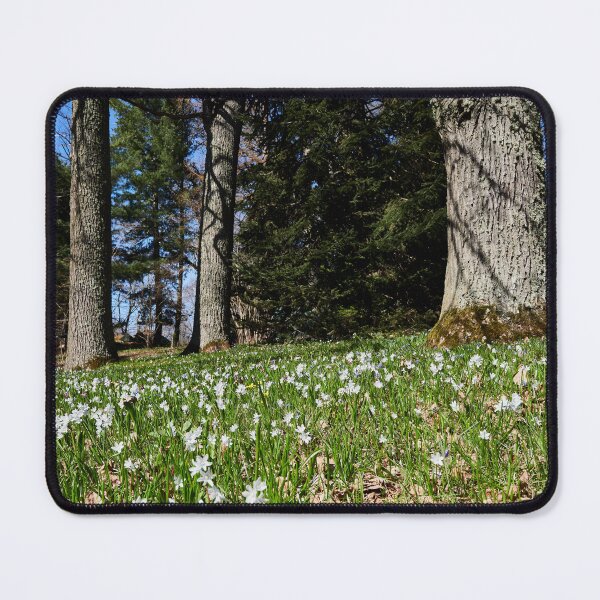 Item preview, Under the naked oaks designed and sold by Jouko Lehto Photography.