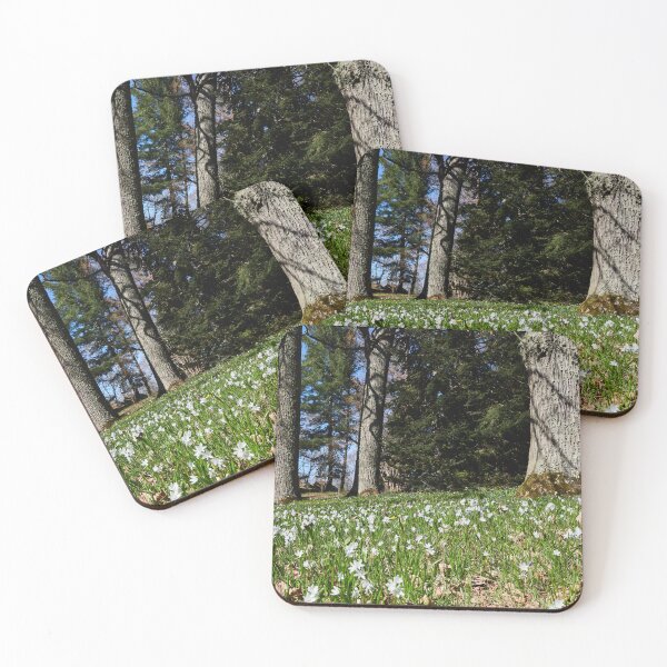 Item preview, Under the naked oaks designed and sold by Jouko Lehto Photography.