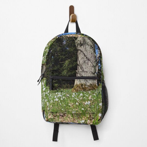 Item preview, Under the naked oaks designed and sold by Jouko Lehto Photography.