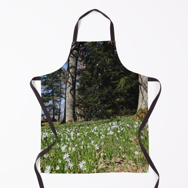 Item preview, Under the naked oaks designed and sold by Jouko Lehto Photography.