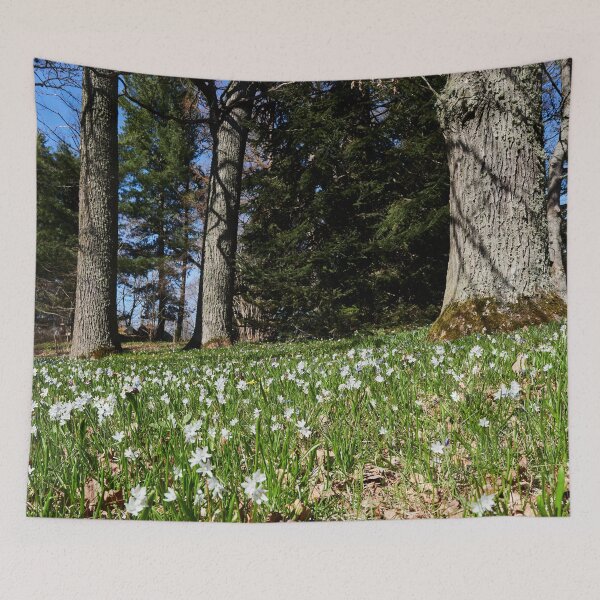 Item preview, Under the naked oaks designed and sold by Jouko Lehto Photography.