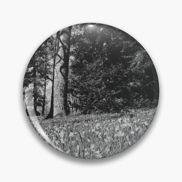 Item preview, Under the naked oaks bw designed and sold by Jouko Lehto Photography.